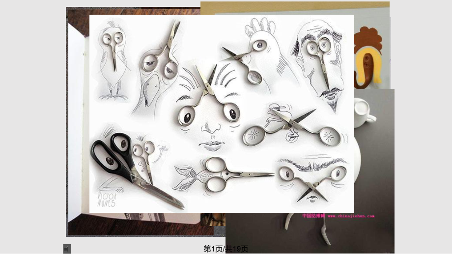 生活日用品的聯(lián)想——生物科技的啟示