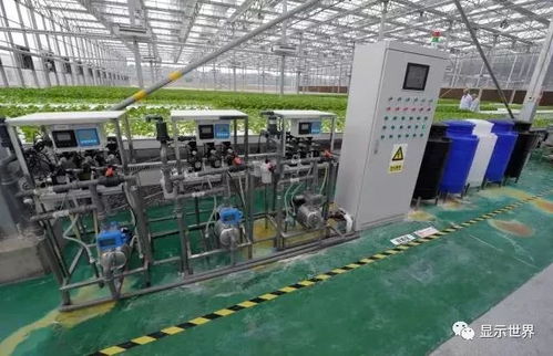 新型植物工廠 生物科技驅(qū)動的未來糧食解決方案