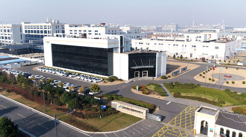 諾泰生物董事長童梓權(quán) 在行業(yè)激流中錨定“小而美”，以專注鍛造生物科技韌性